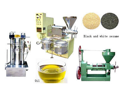 How to start a profitable sesame oil production business?