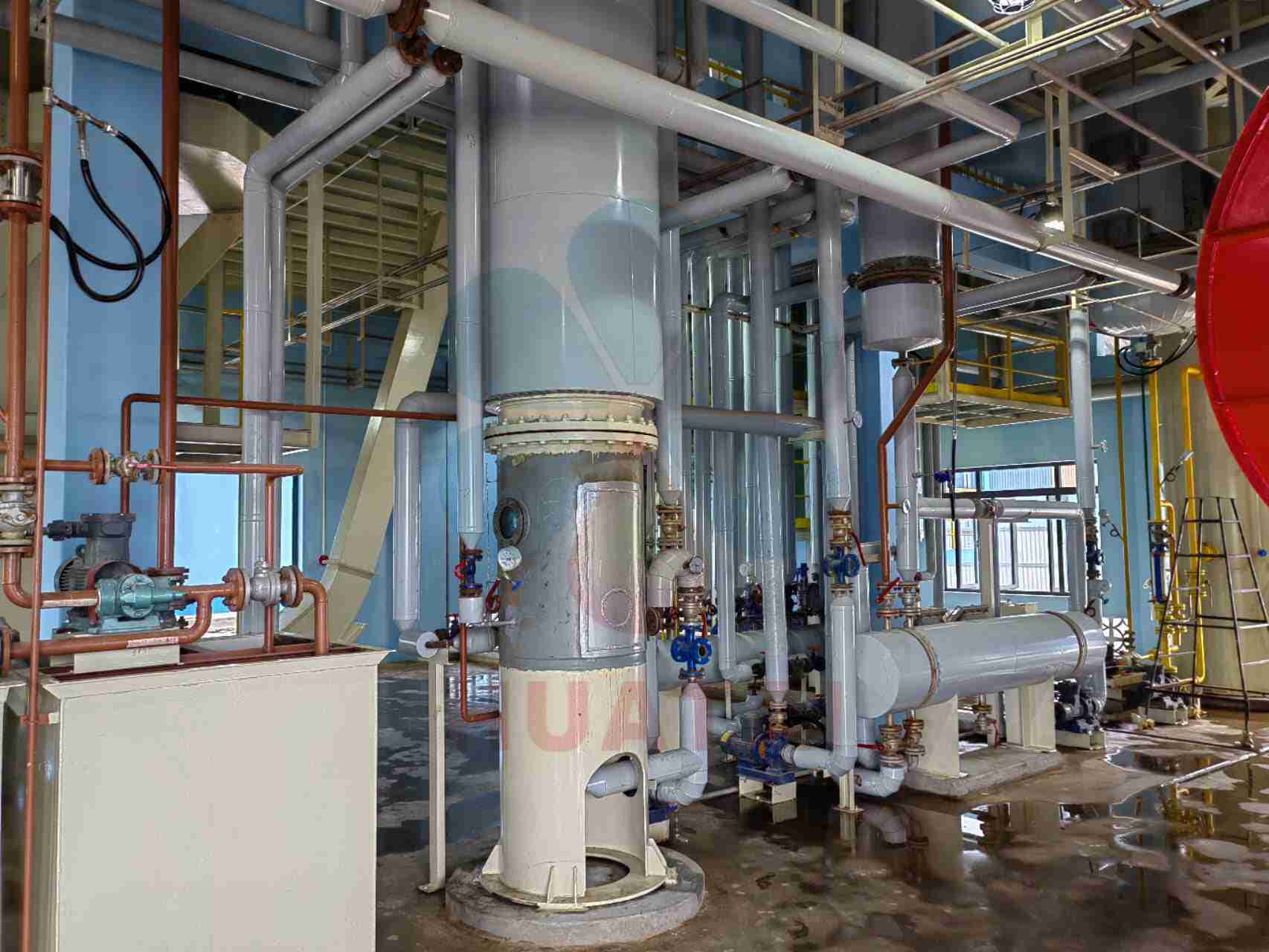 100TPD rice bran oil extraction and pretreatment 