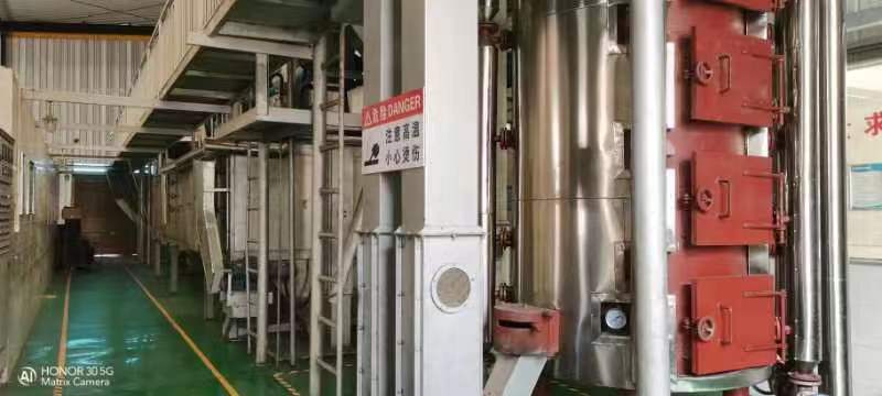 Camellia seed oil production process