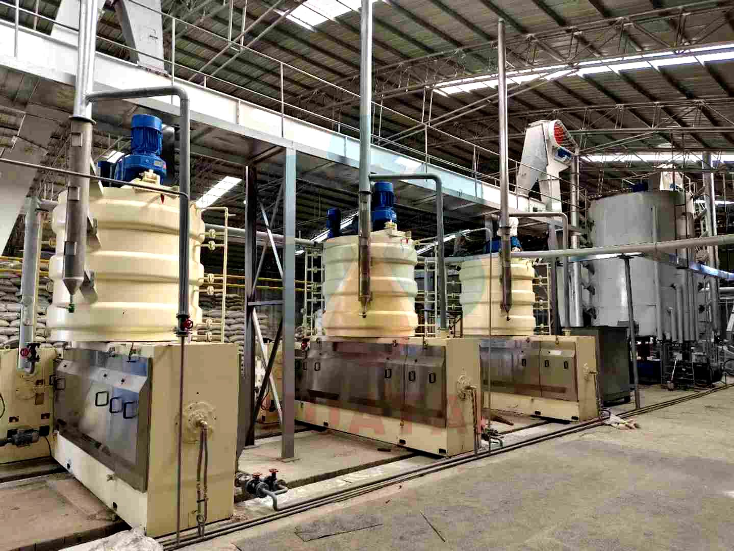 Peanut oil extraction equipment production line process