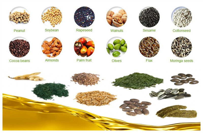 oil seeds cleaned by oilseeds cleaning equipment for making quality oil