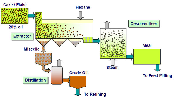 how edible oil be extracted by oil solvent extraction equipment
