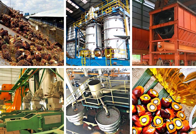 Palm Oil Mill Plant Production Line