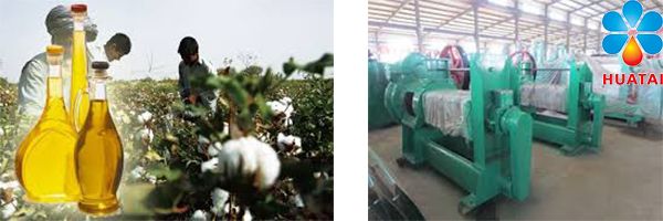 Cottonseed Oil Production Plant