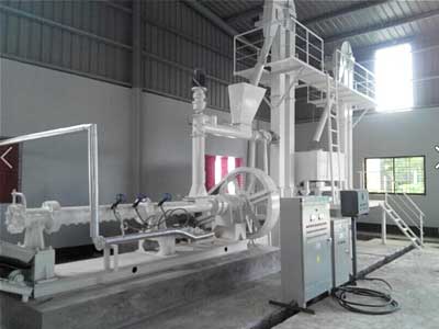 Rice Bran Extrusion Section