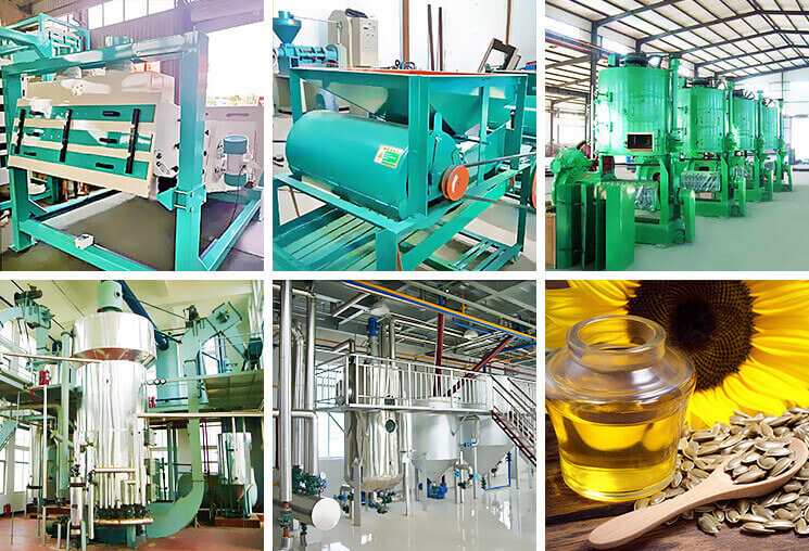 Sunflower Seed Oil Processing